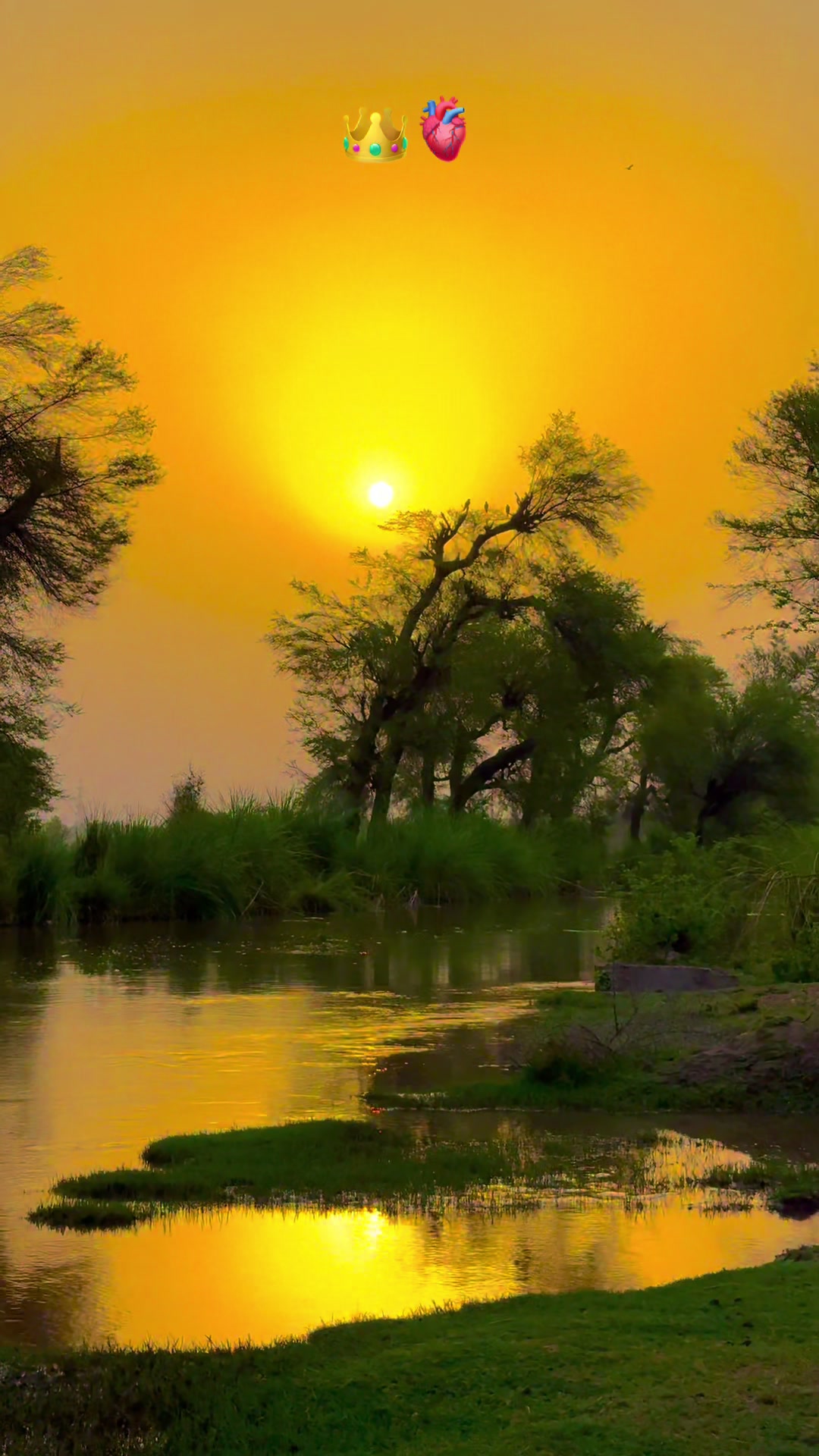 @پنجابی کلچر 🌾🍂