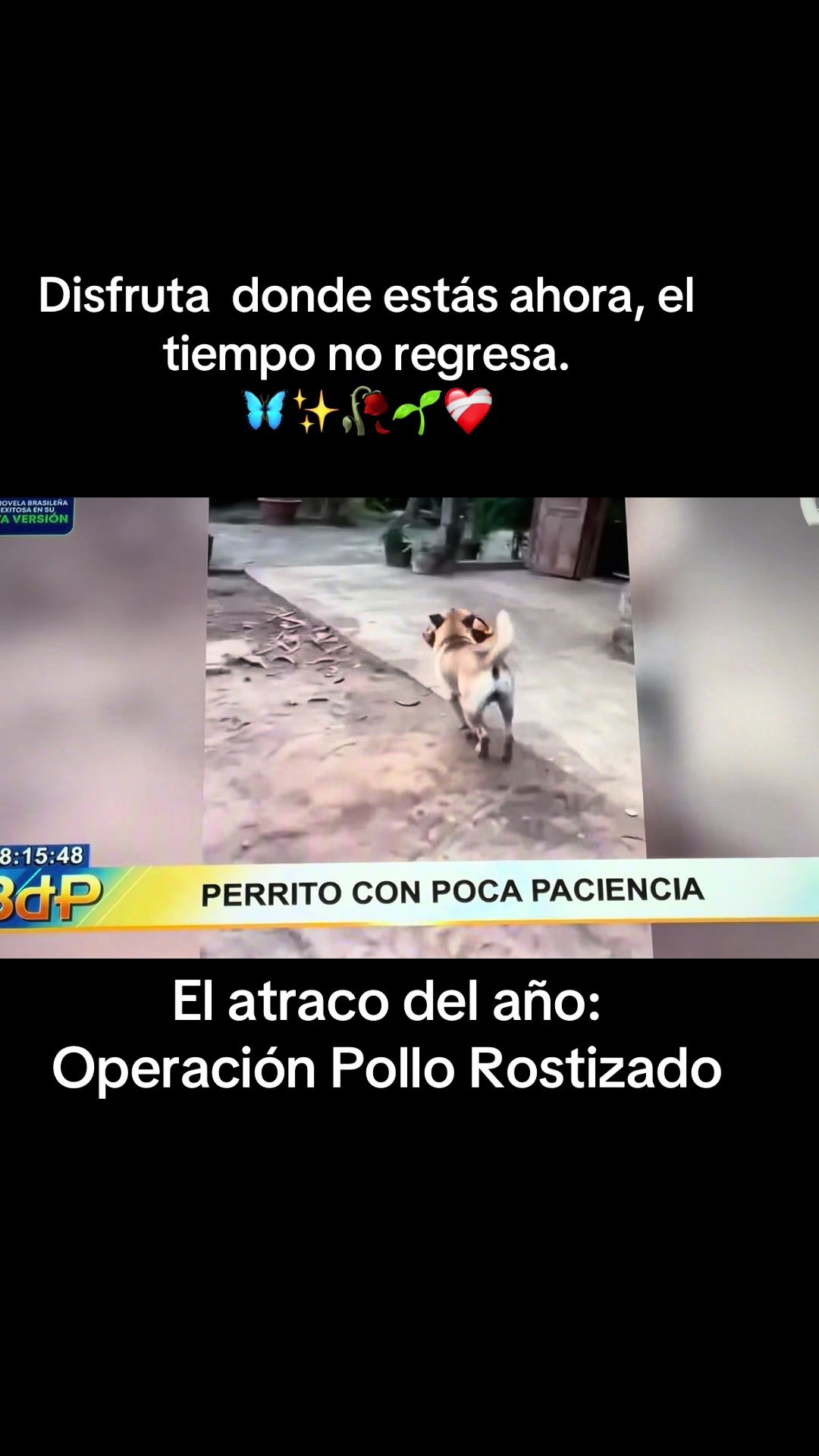 @Mariolli😊🇵🇪