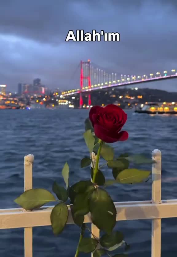 @İslam sayfası 🌸