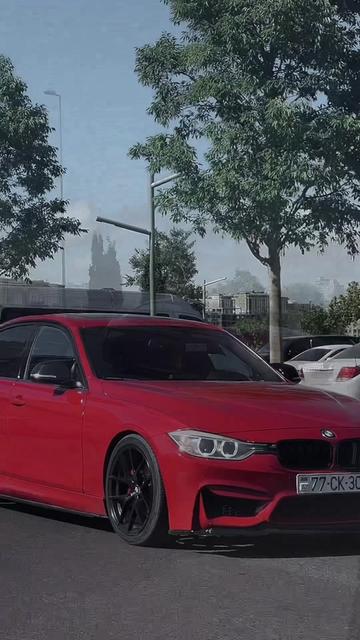 @cavidkarimli😎
