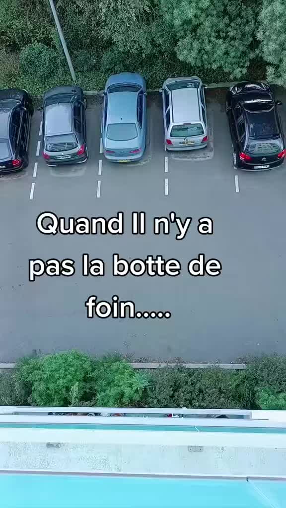 @victimegeek