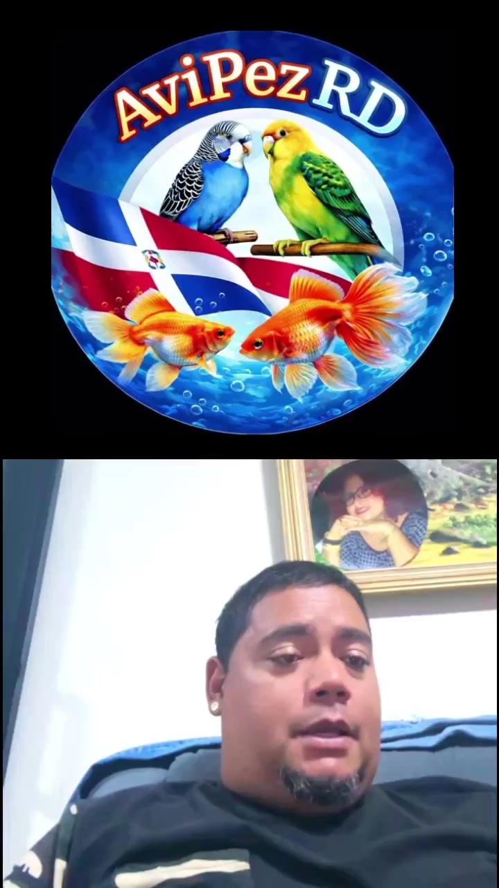 @Avipezrd