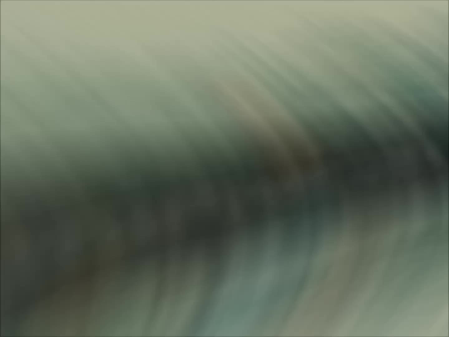 @Tori Bdkp