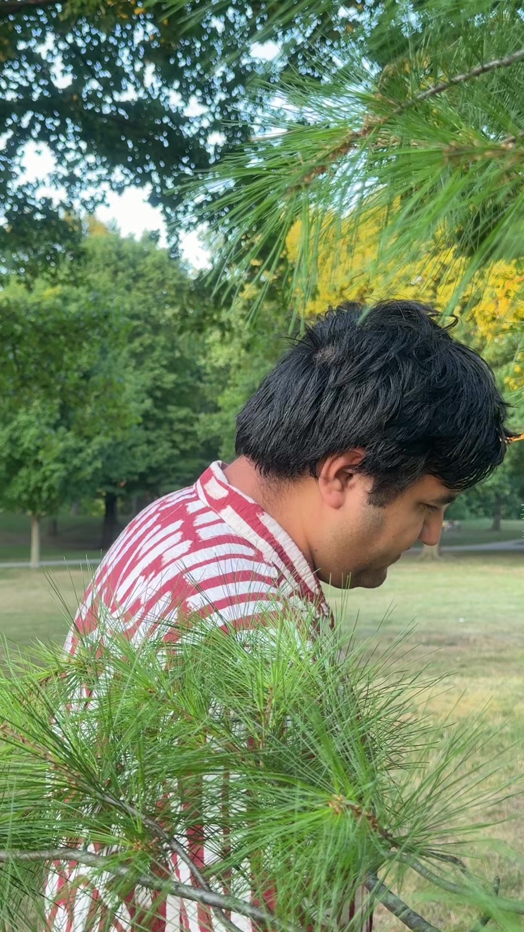 @Apshara🧿🧿🧿
