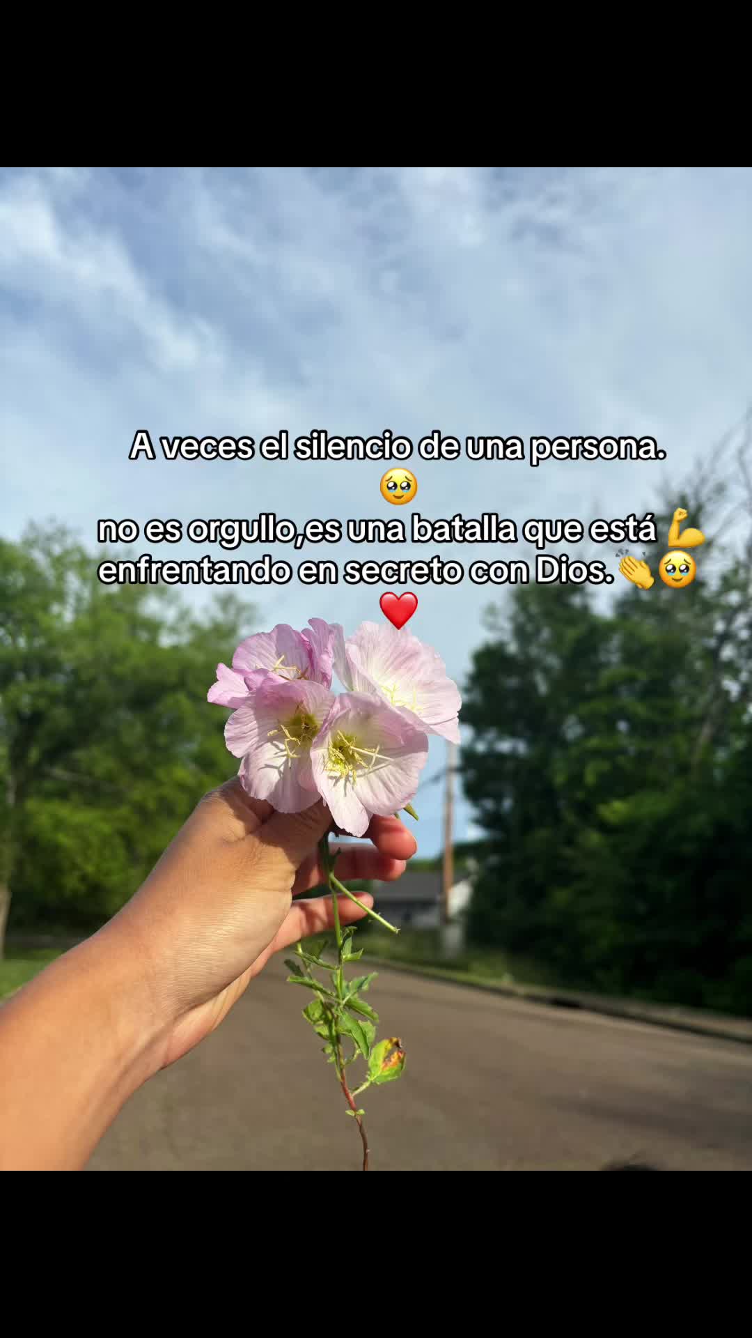 @Esme ❤️