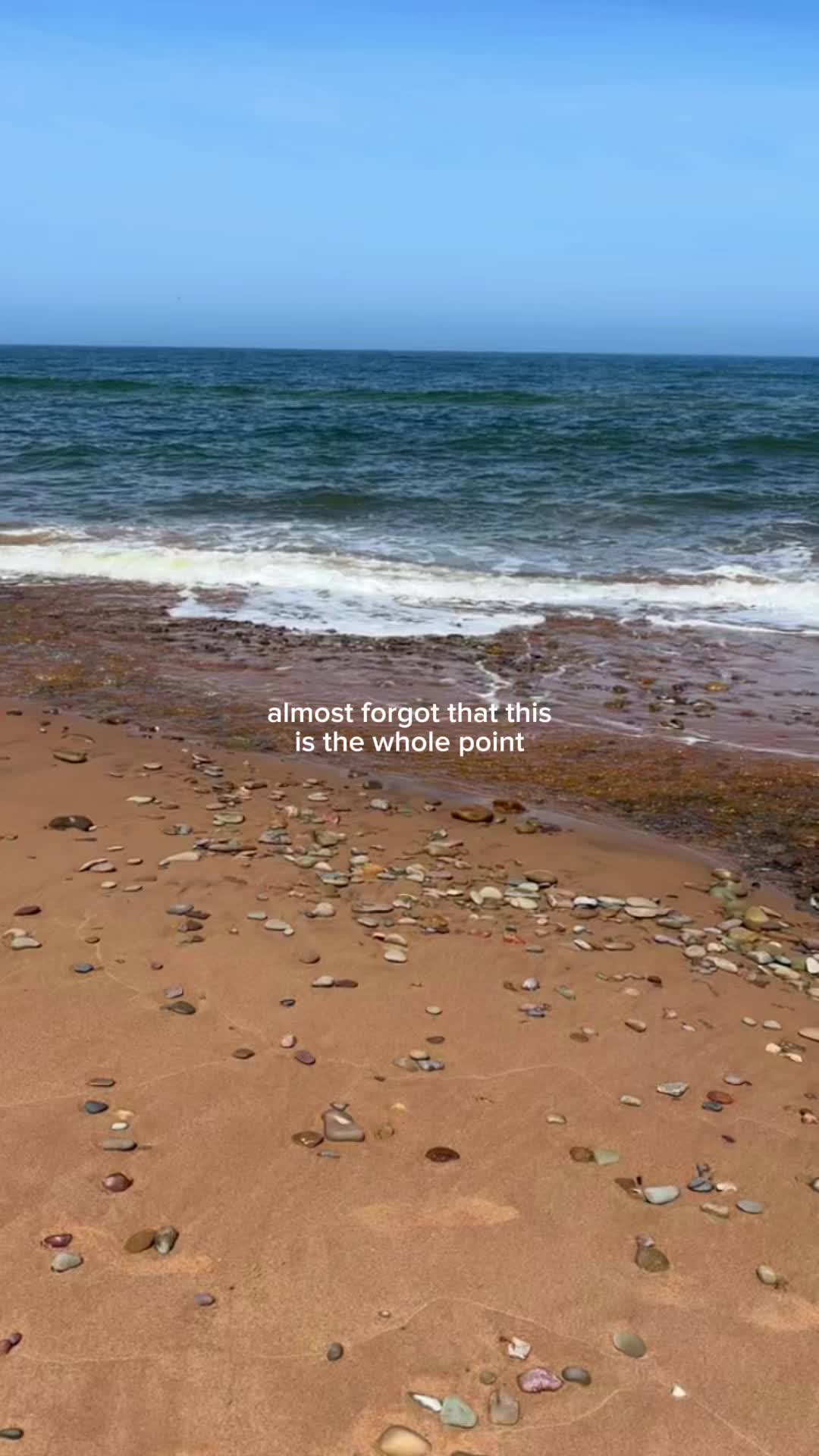 @Lena 🪩