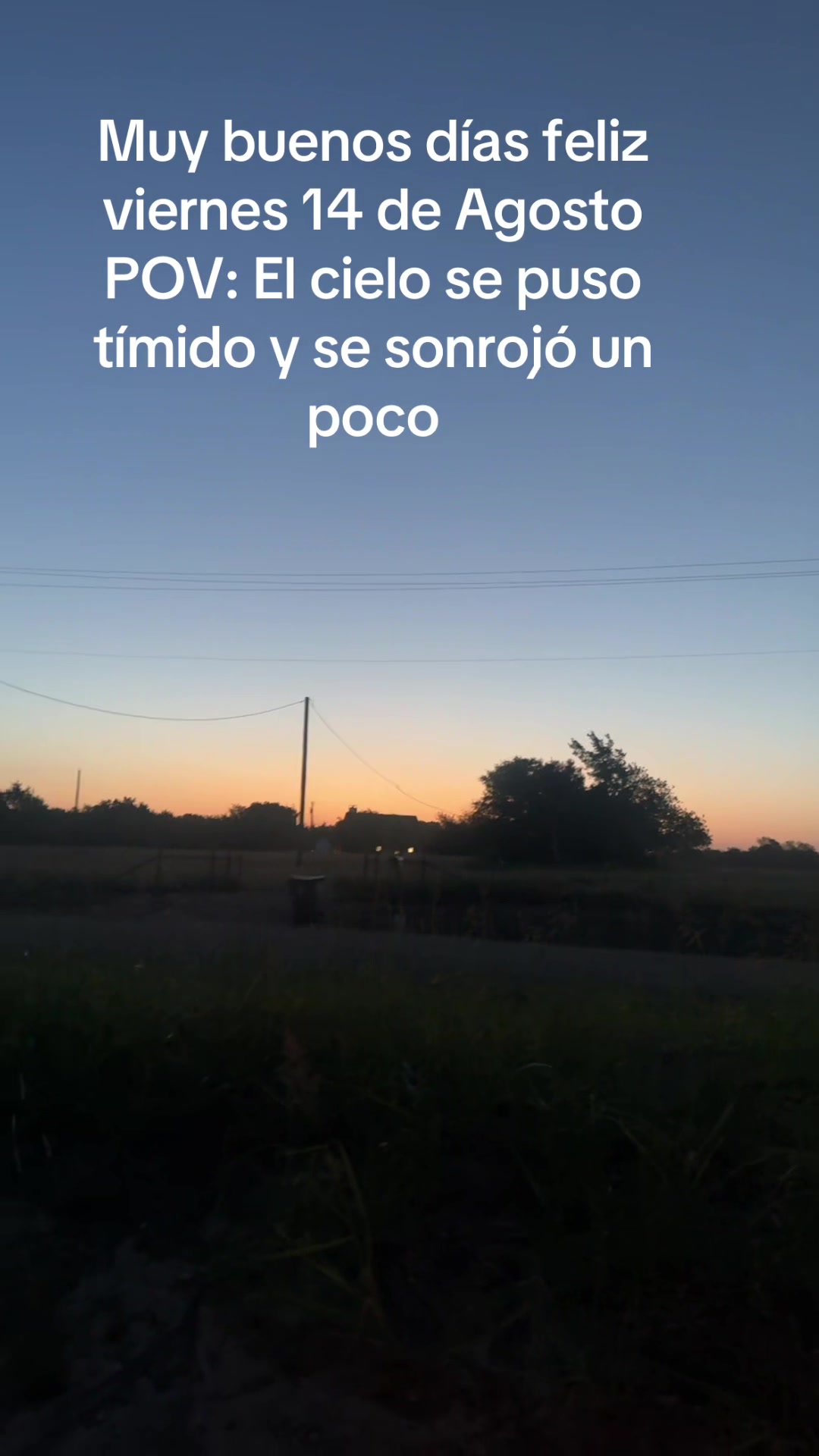 @javieraranda039
