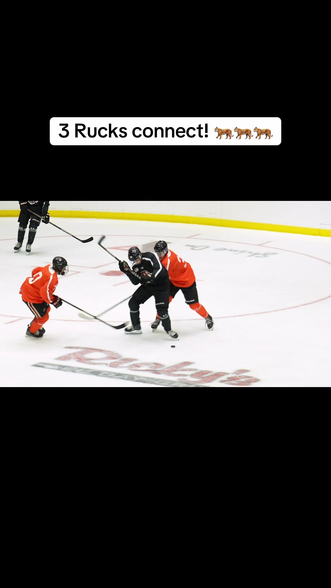 @Medicine Hat Tigers