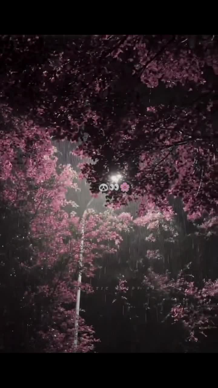 @𝙃&oslash;ɴ𝖊𝔂❤&zwj;🩹🎧