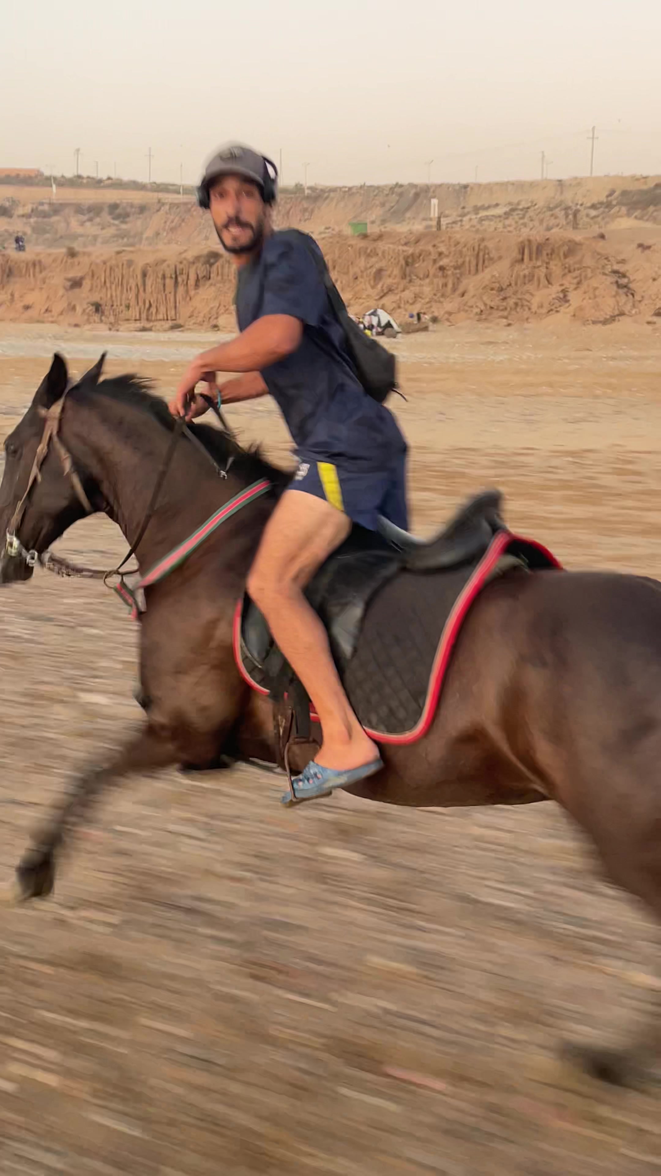 @Cheval_agadir