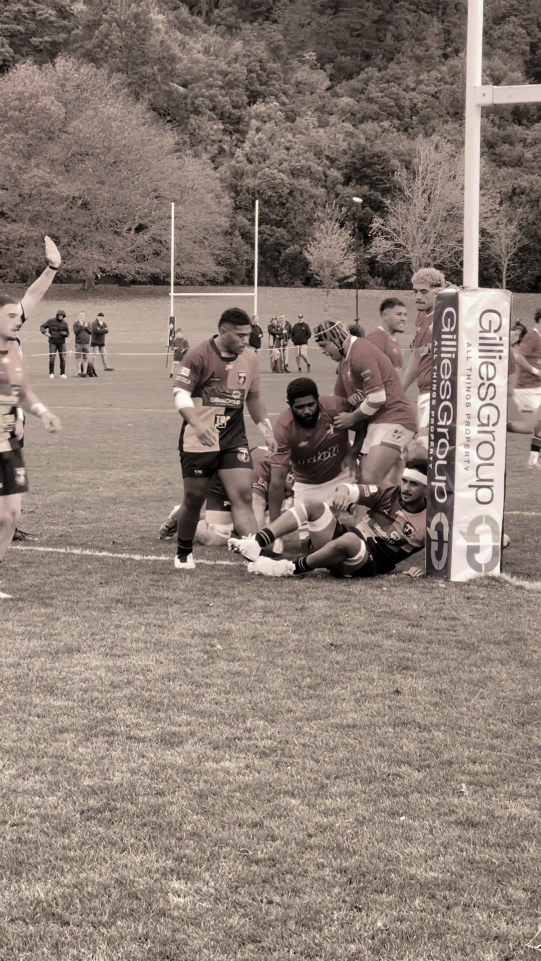 @msprugby