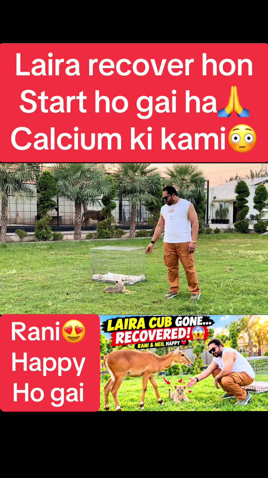 @Mian saqib