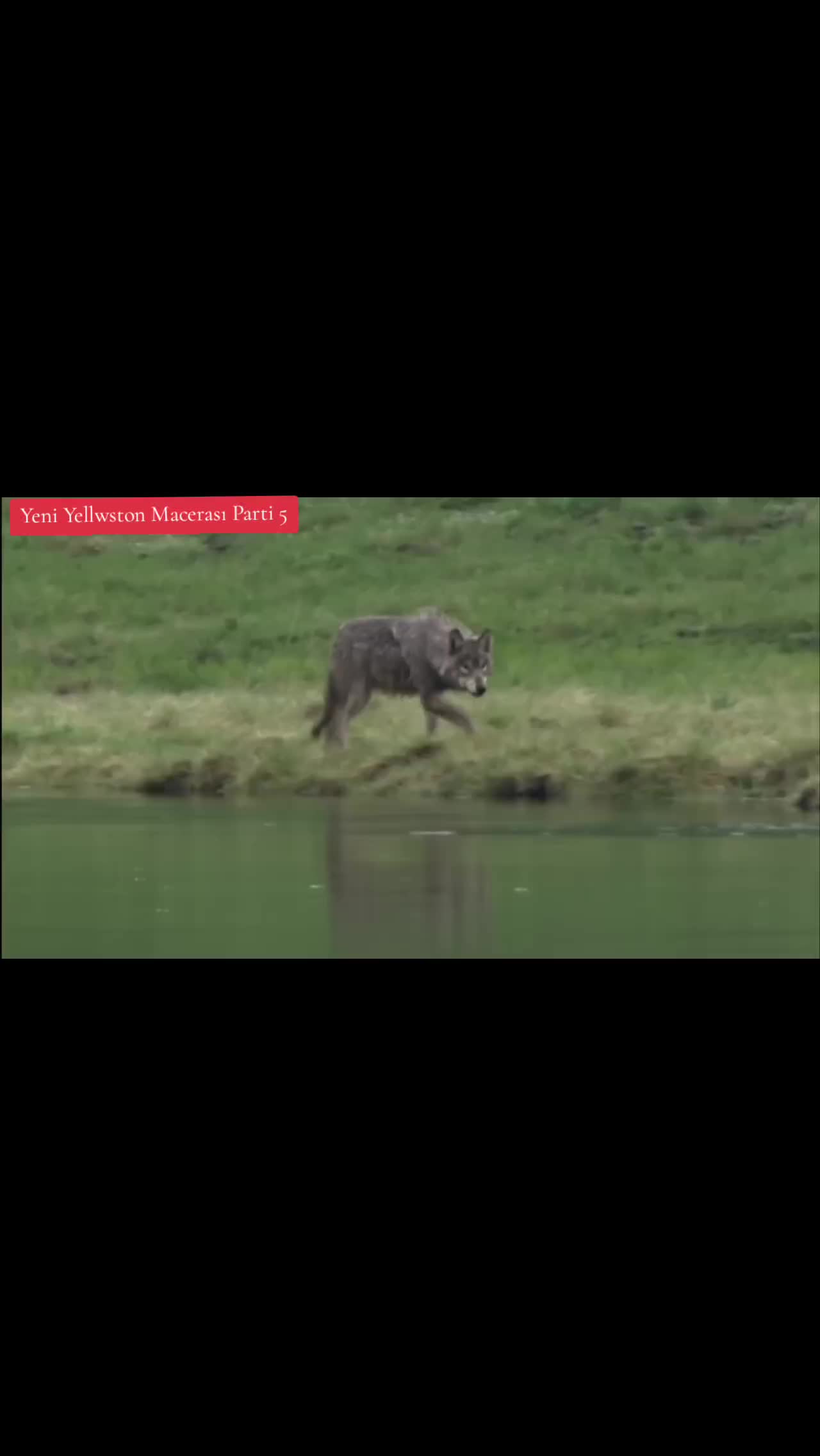 @Belgesel D&uuml;nyası 🌏