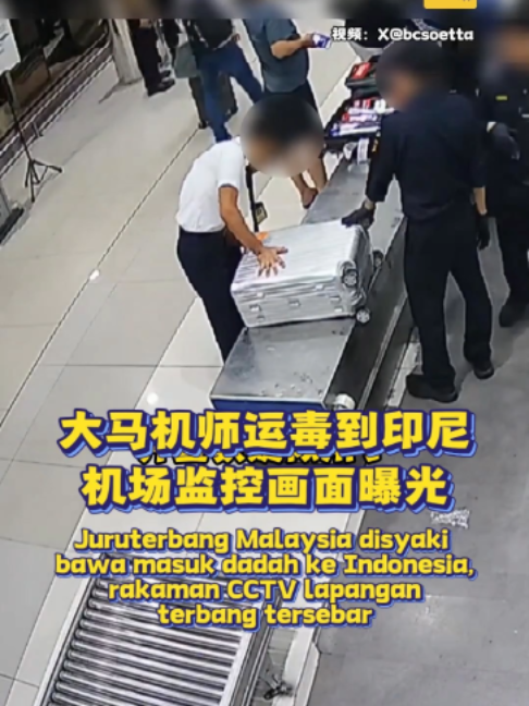 @中国报