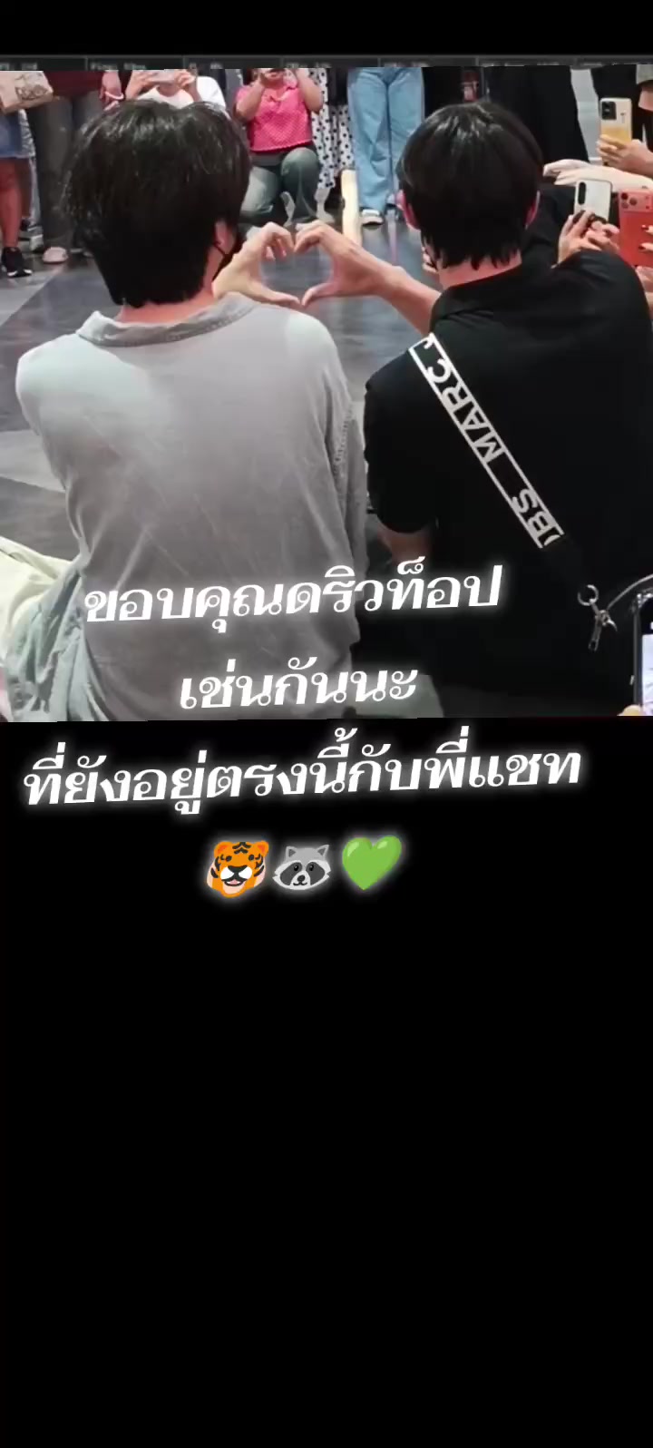 @Rung 🦜🪐🐯🦝