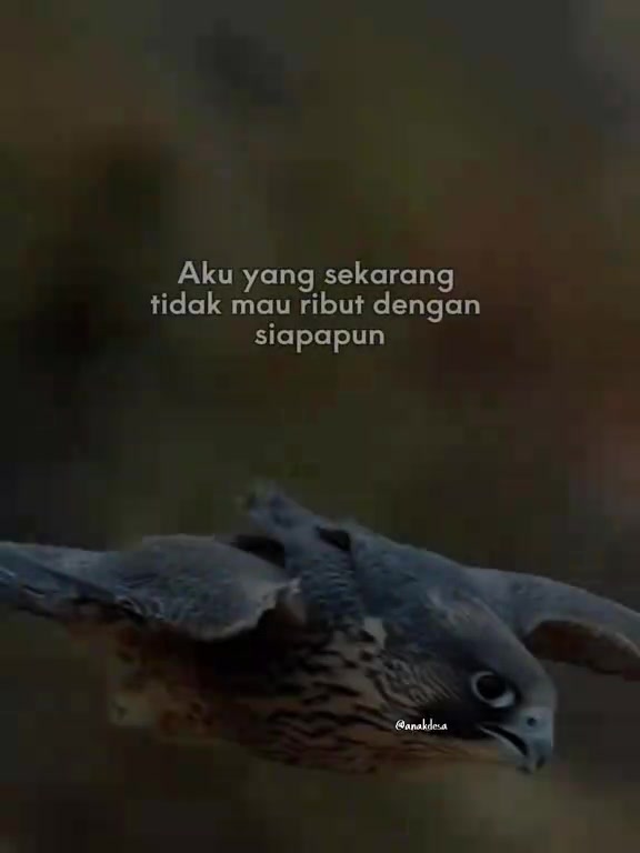 @🌷🌸 mawar Bodas🌸🌷