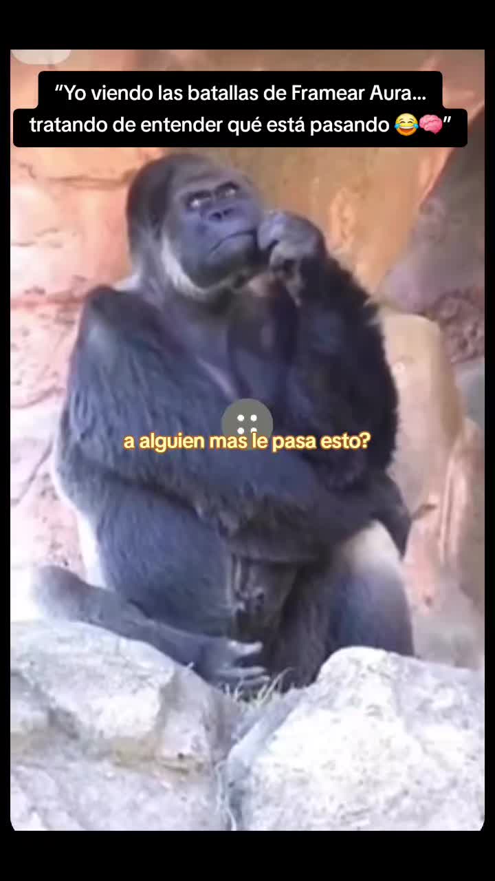 @Jhon Reye