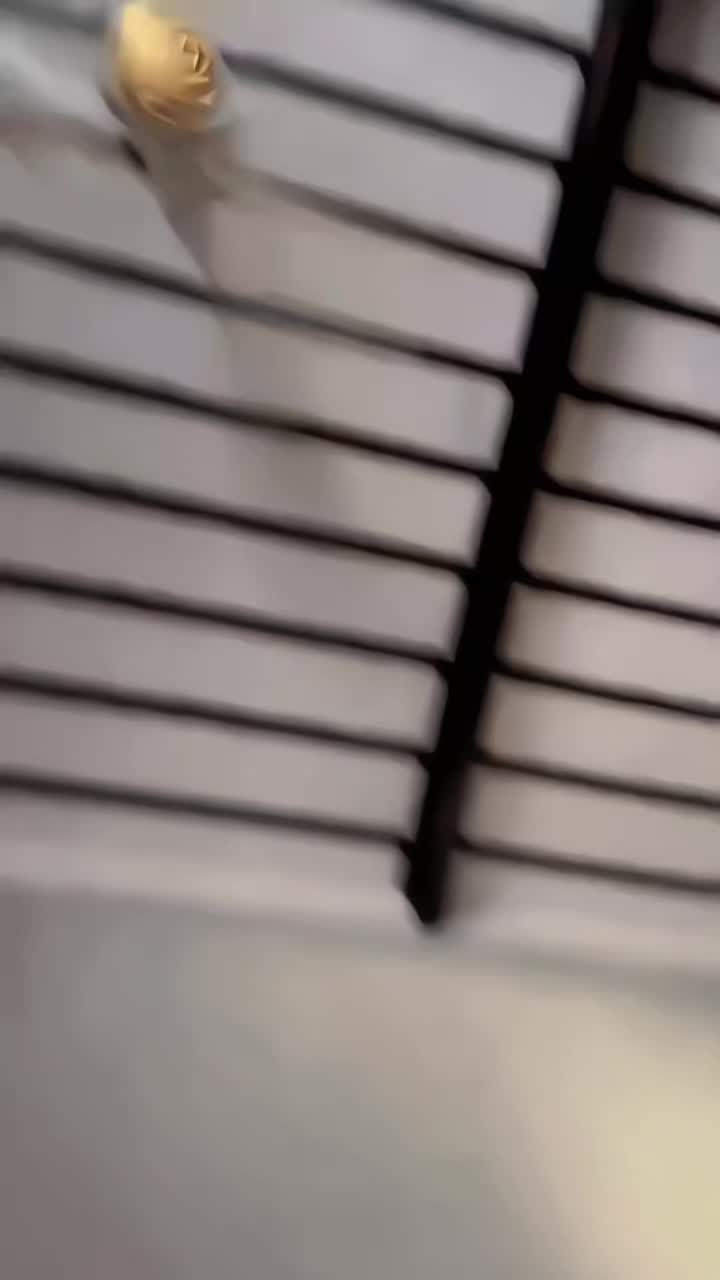 @مہر 🪐