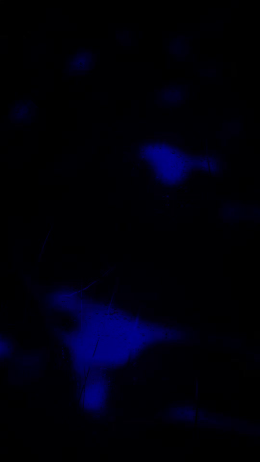 @𝐎𝐧𝐥𝐲𝐒𝐨𝐧𝐠𝐬