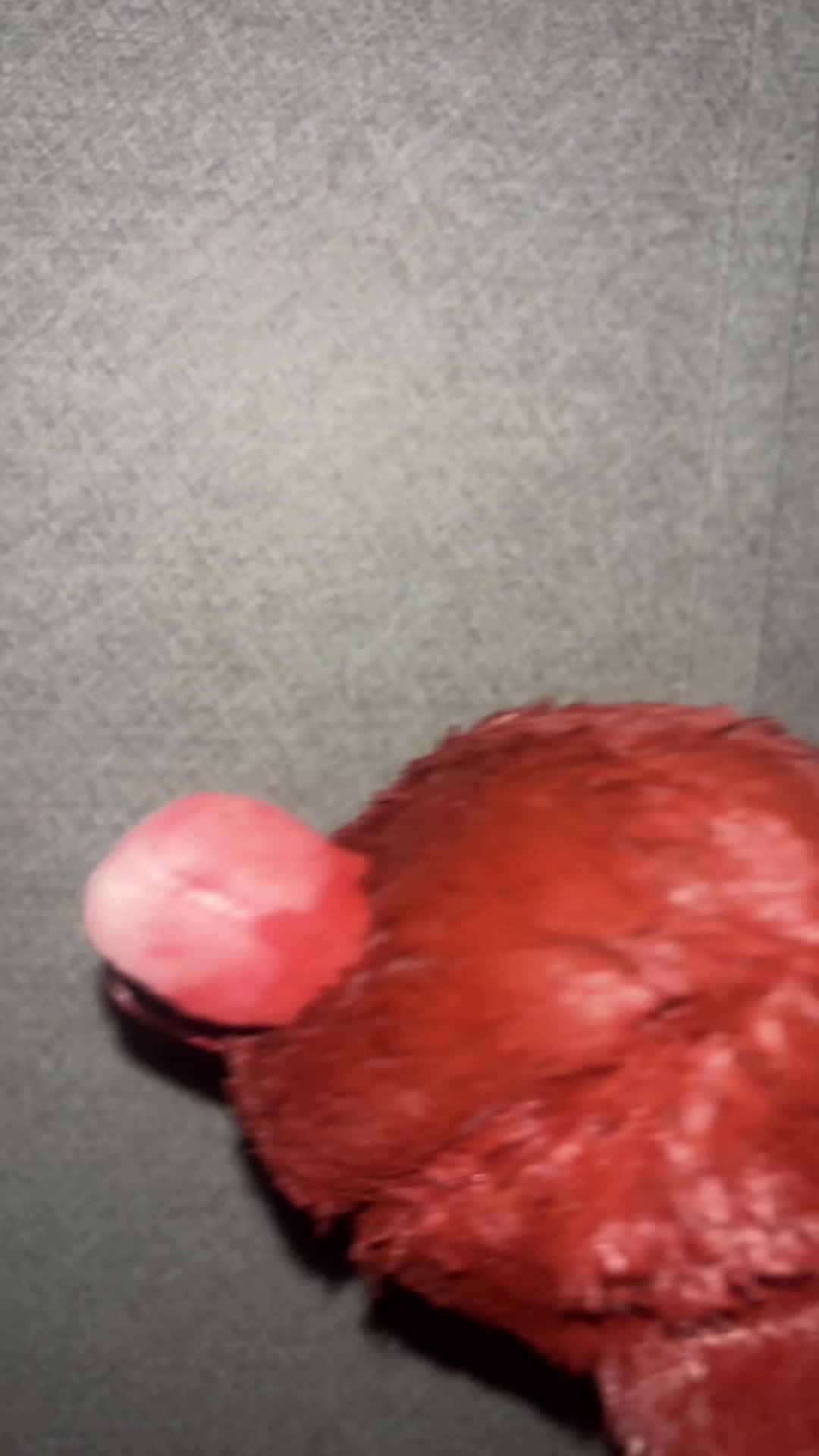 @The redest Elmo ❤️