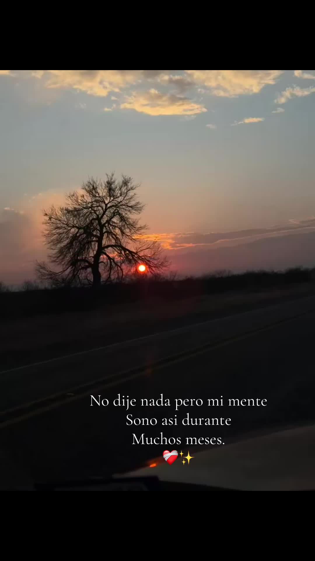 @🥀Priscilla🥀