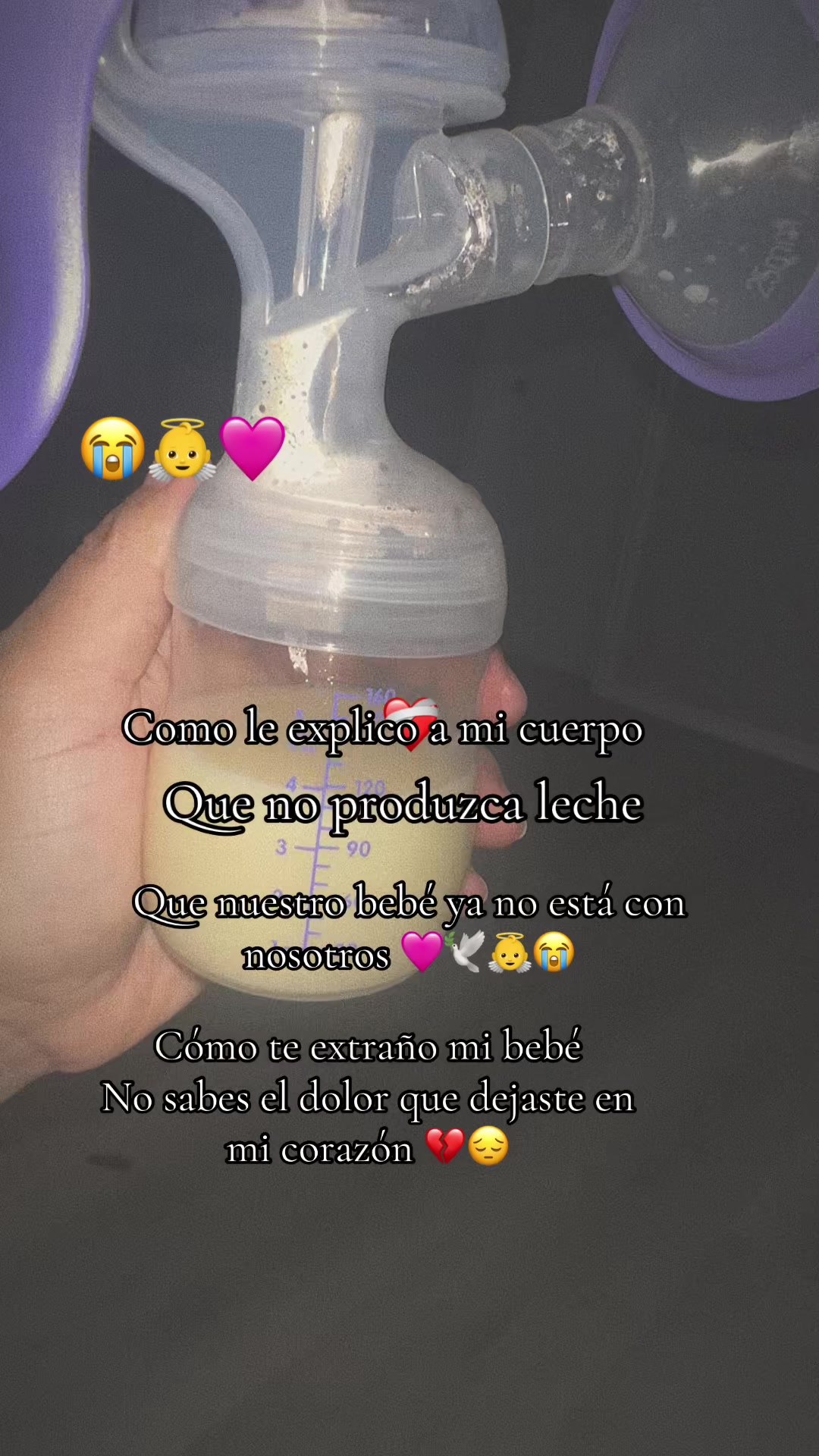 @🌸🧸 Mayte 🧸🌸
