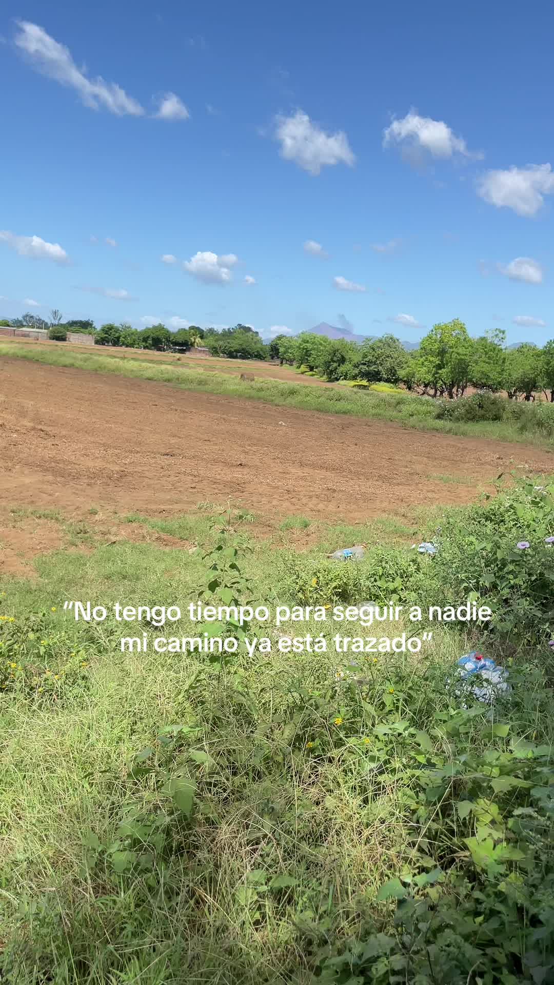 @david marroking🦍