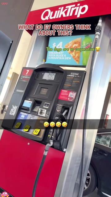 @GoofyGalloper