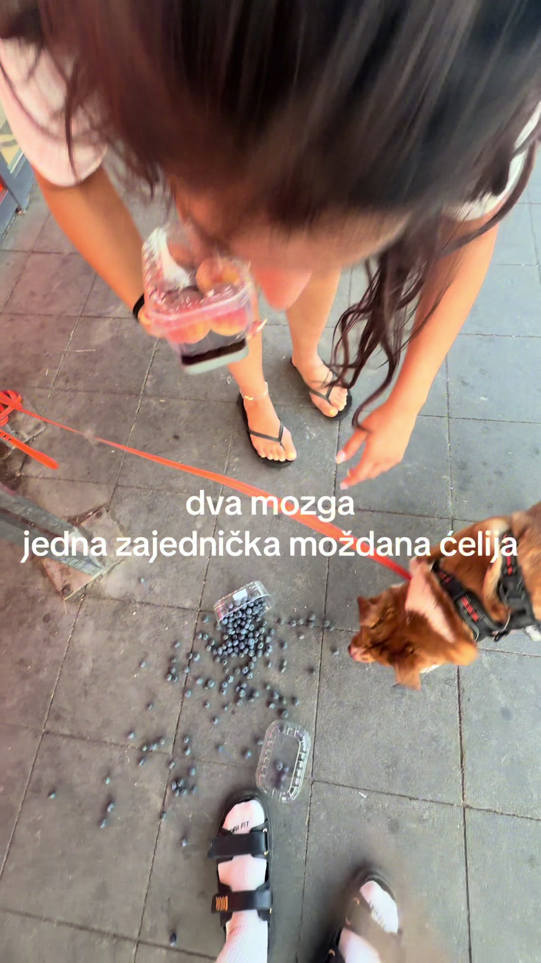 @popivoda.nadja
