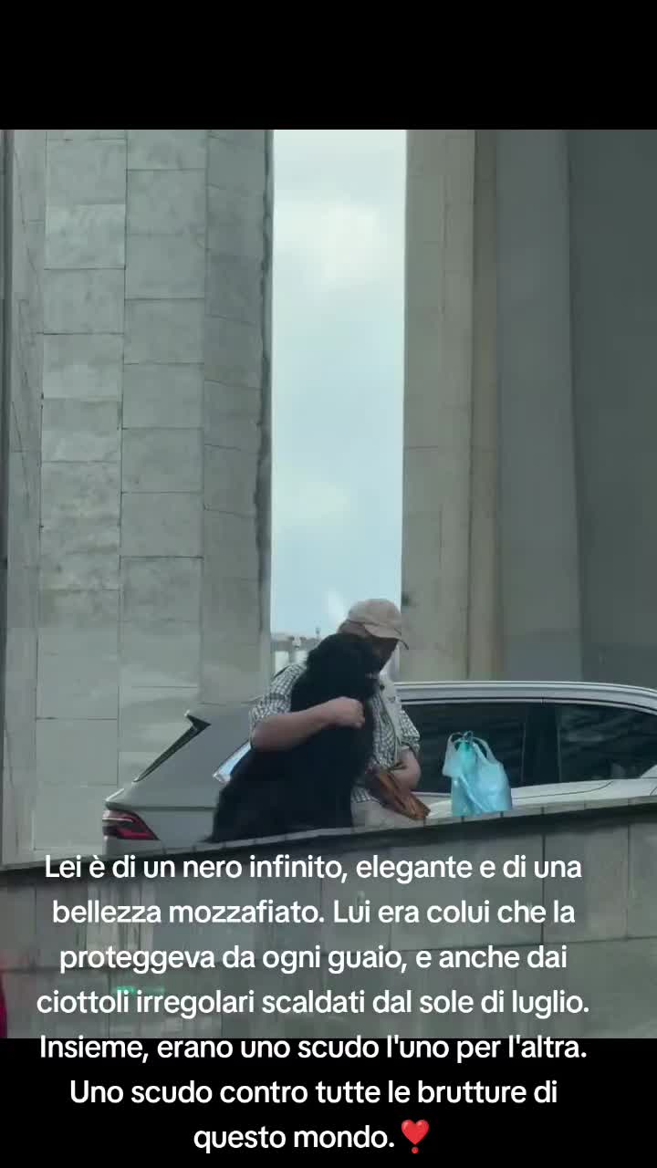 @cuore.animale
