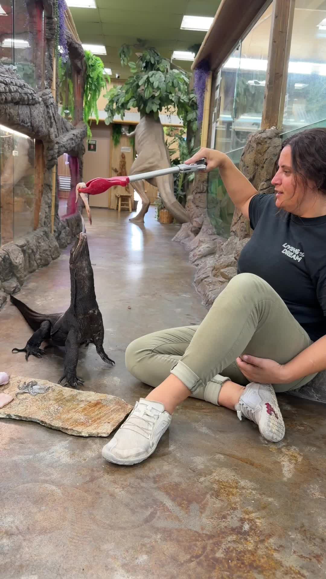 @The Reptile Zoo
