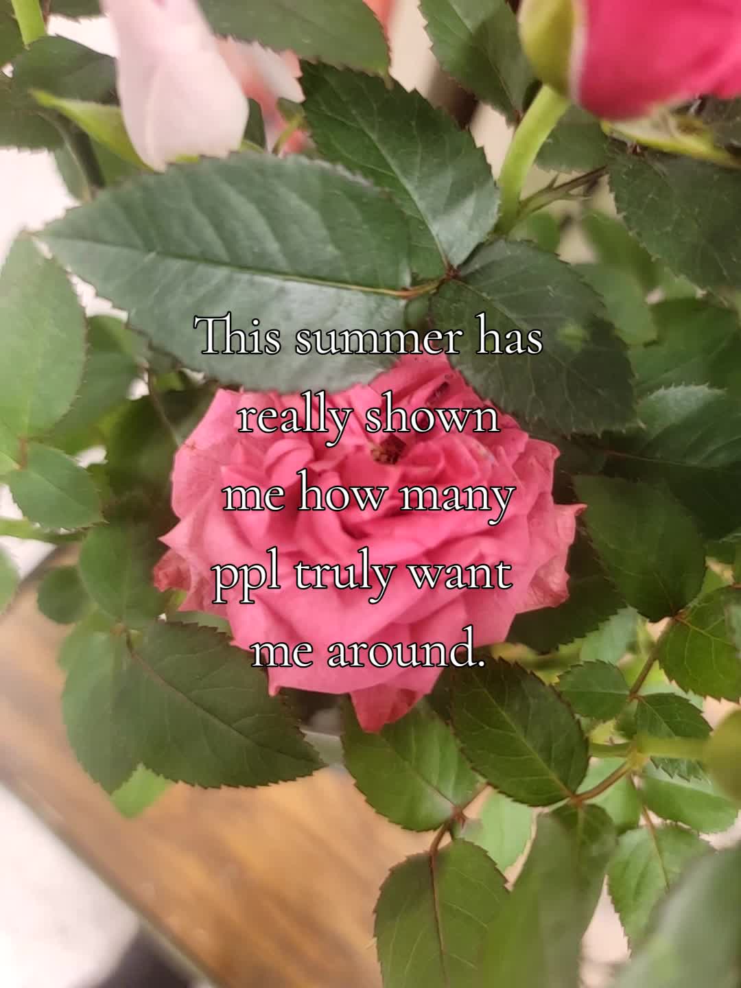 @⋆。‧˚ʚ 𝓐𝓷𝓰𝓮𝓵 ɞ˚‧。⋆