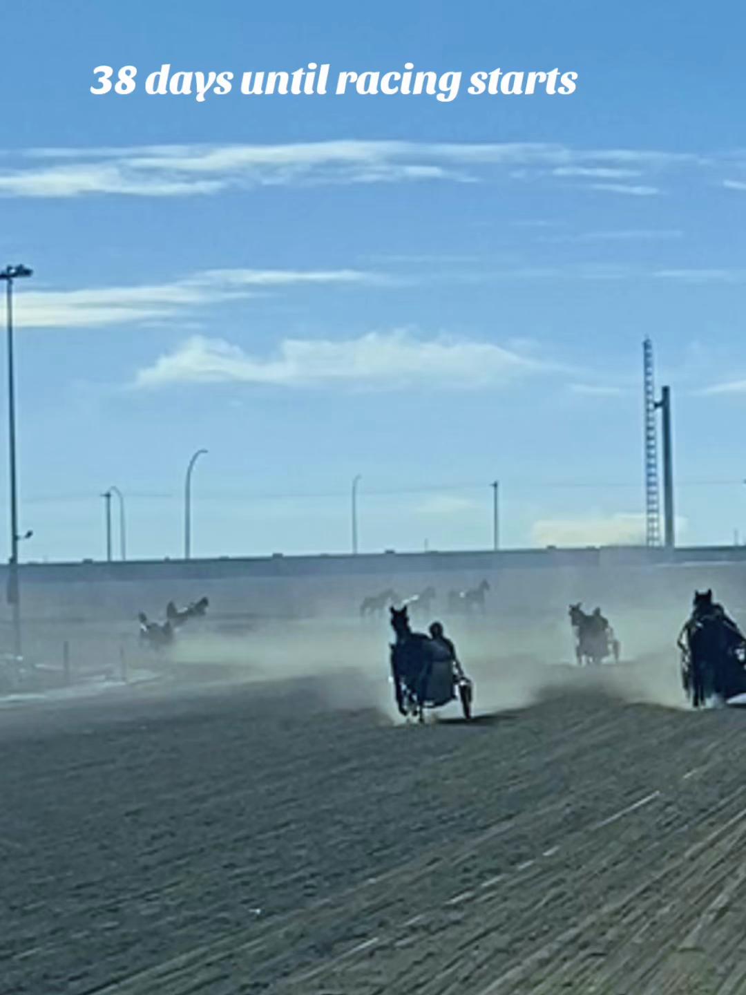 @Century Downs