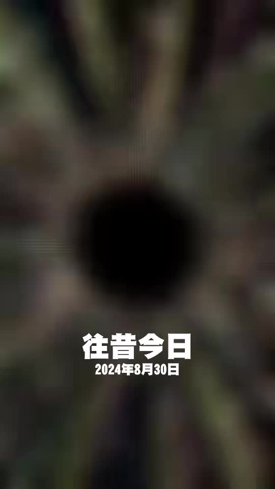 @陳靜靜