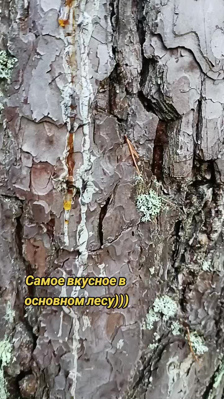 @user2278096979685