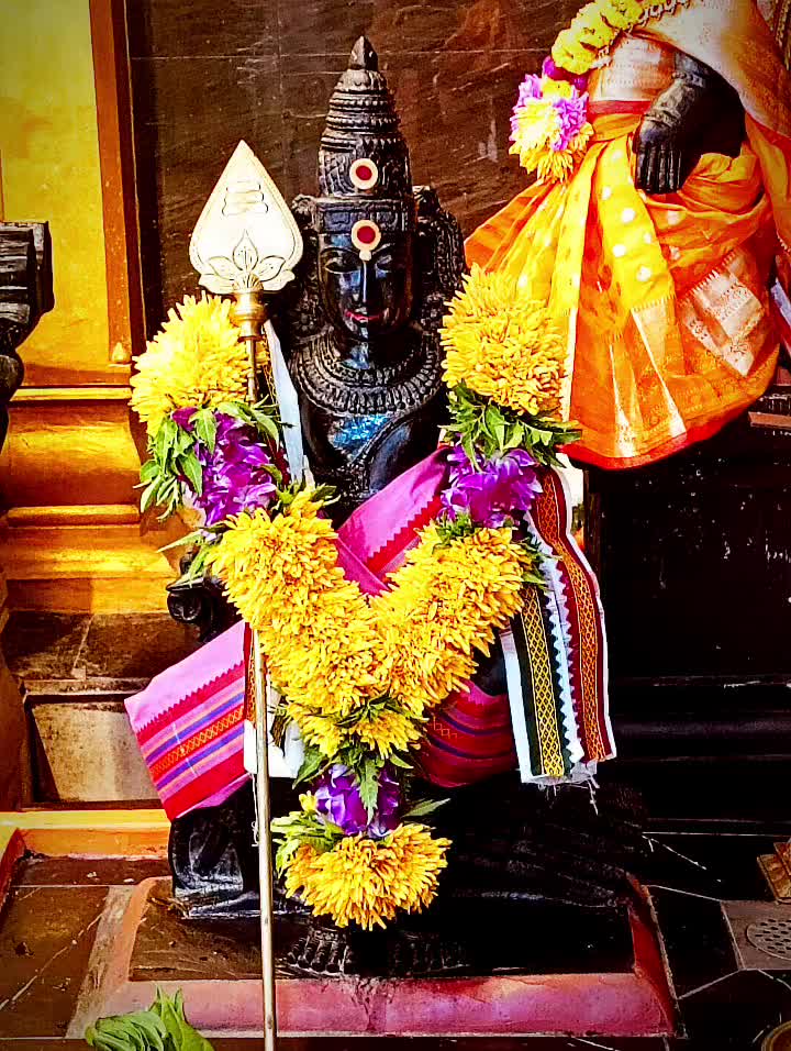 @🧿Uma Balakrishnan💎