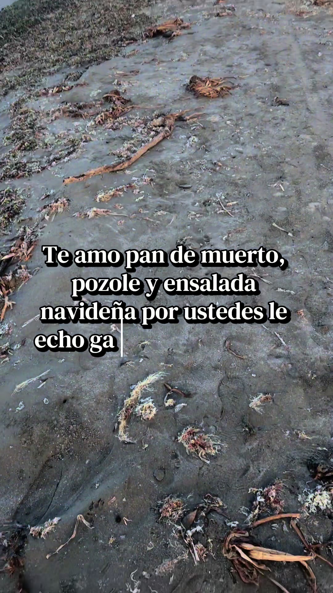 @Xoloyoxi Luna 🌙