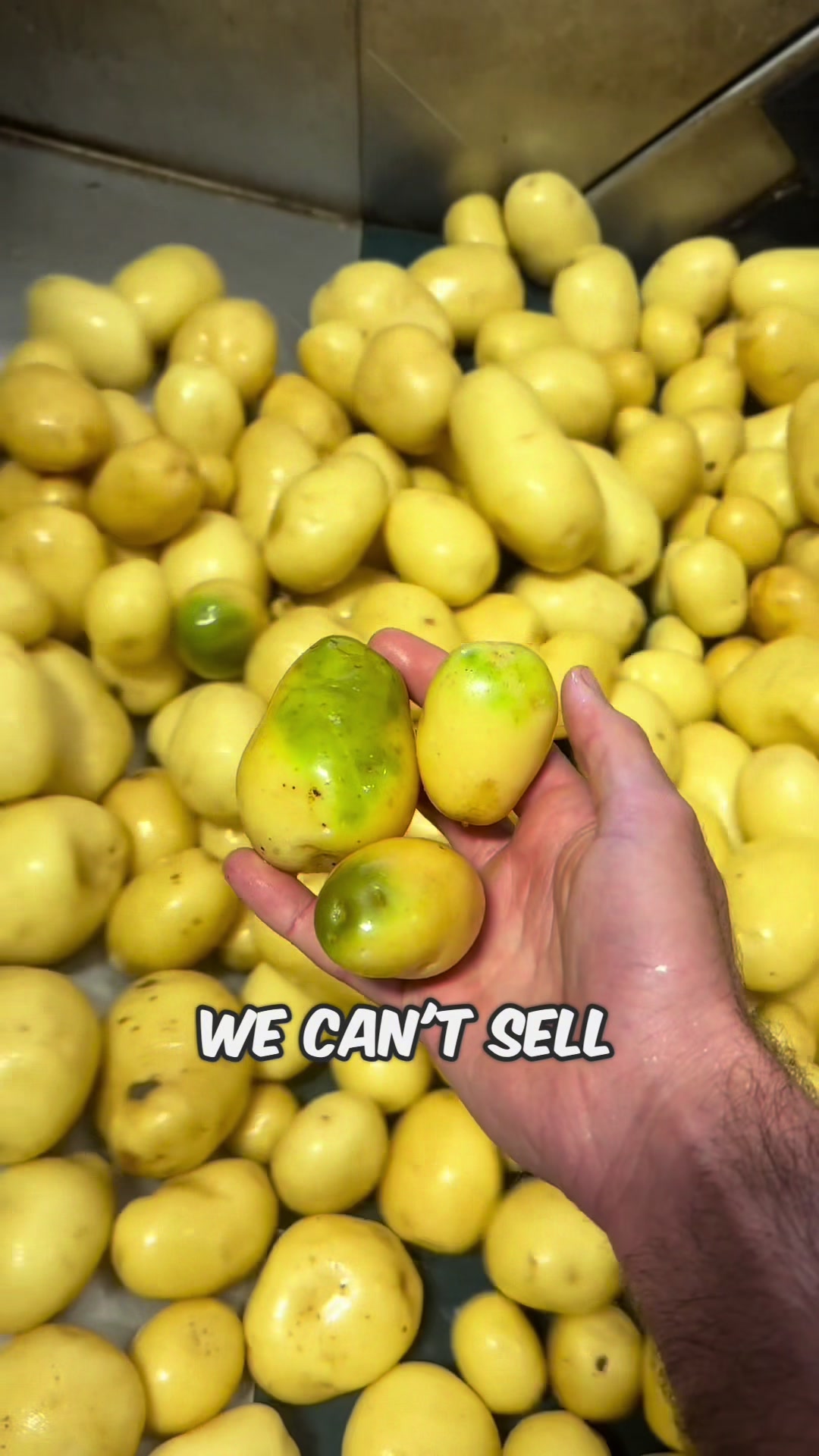 @Potato Ty