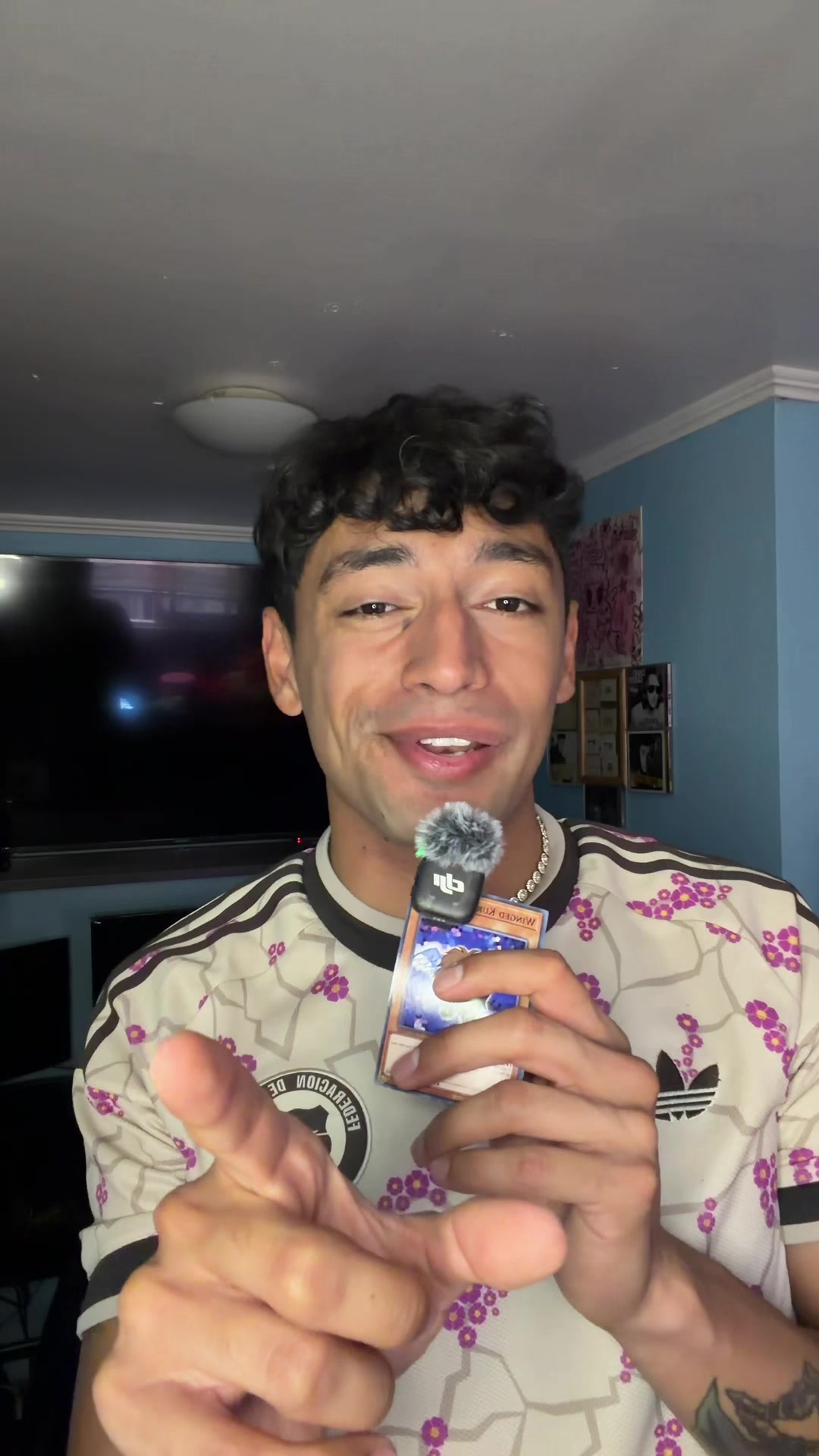 @Diego Fuenzalida
