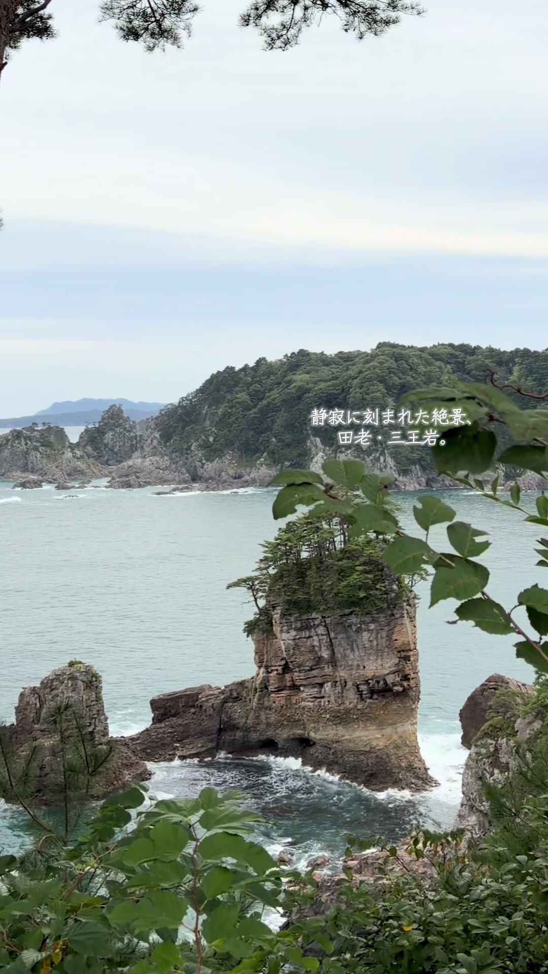 @【公式】渚亭たろう庵