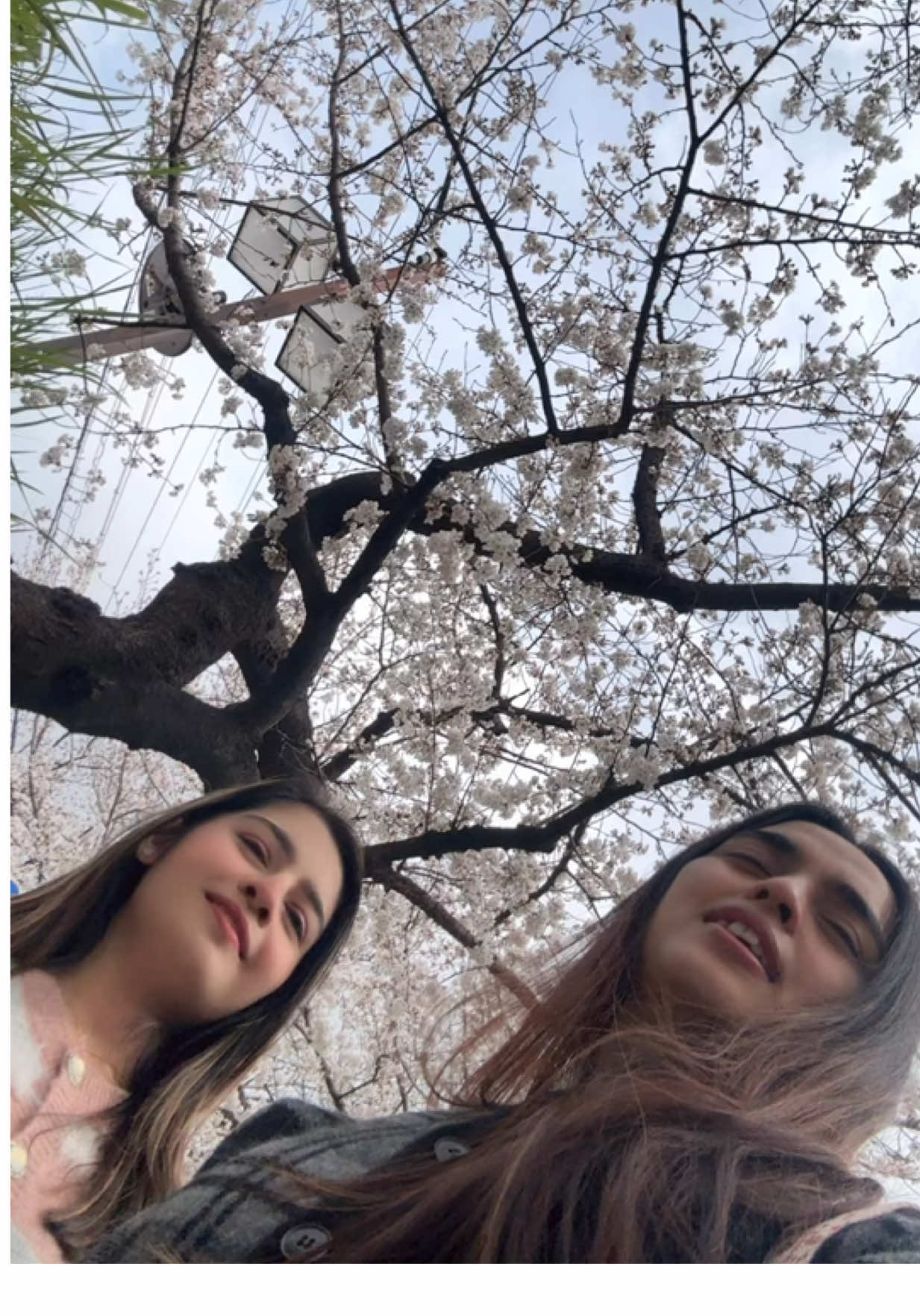 @Kreetikaa🌸