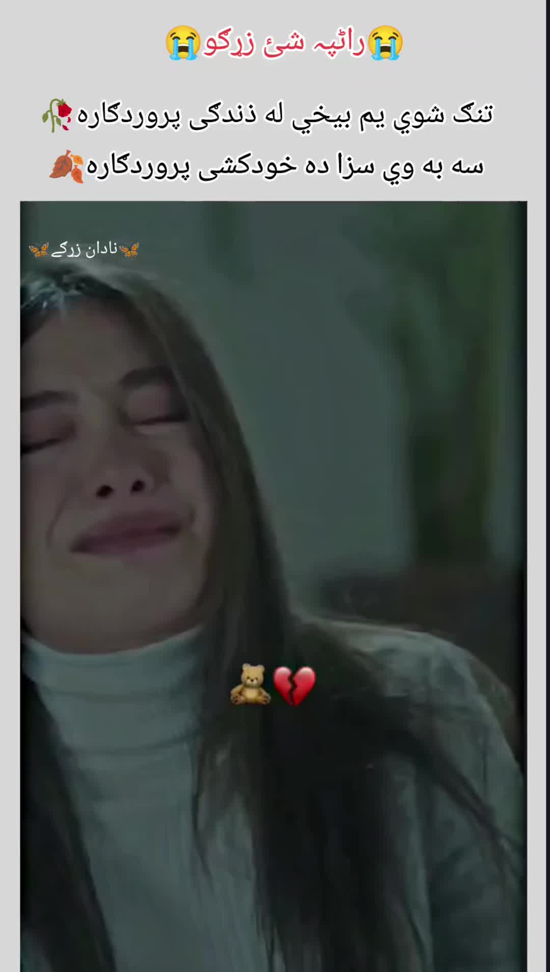 @🌷🦋 غمجنی ٹپی 🦋🌷