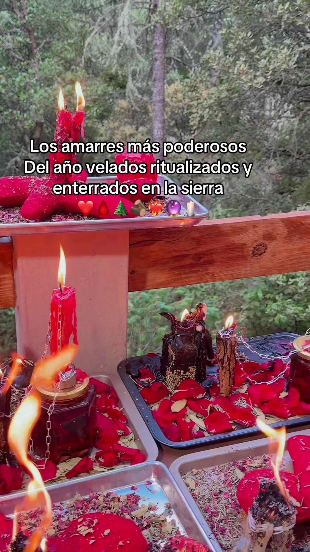 @Ana Suarez 300