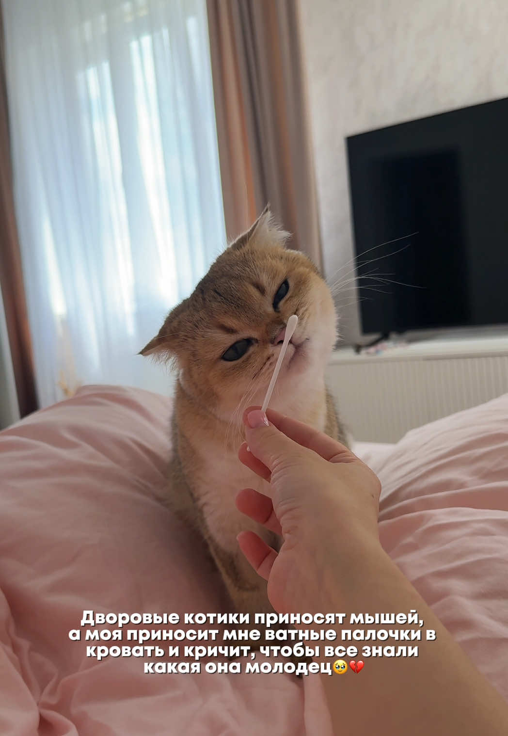 @Владочка