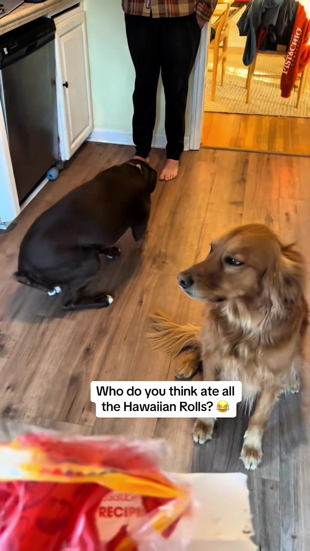 @funnyvideo3782