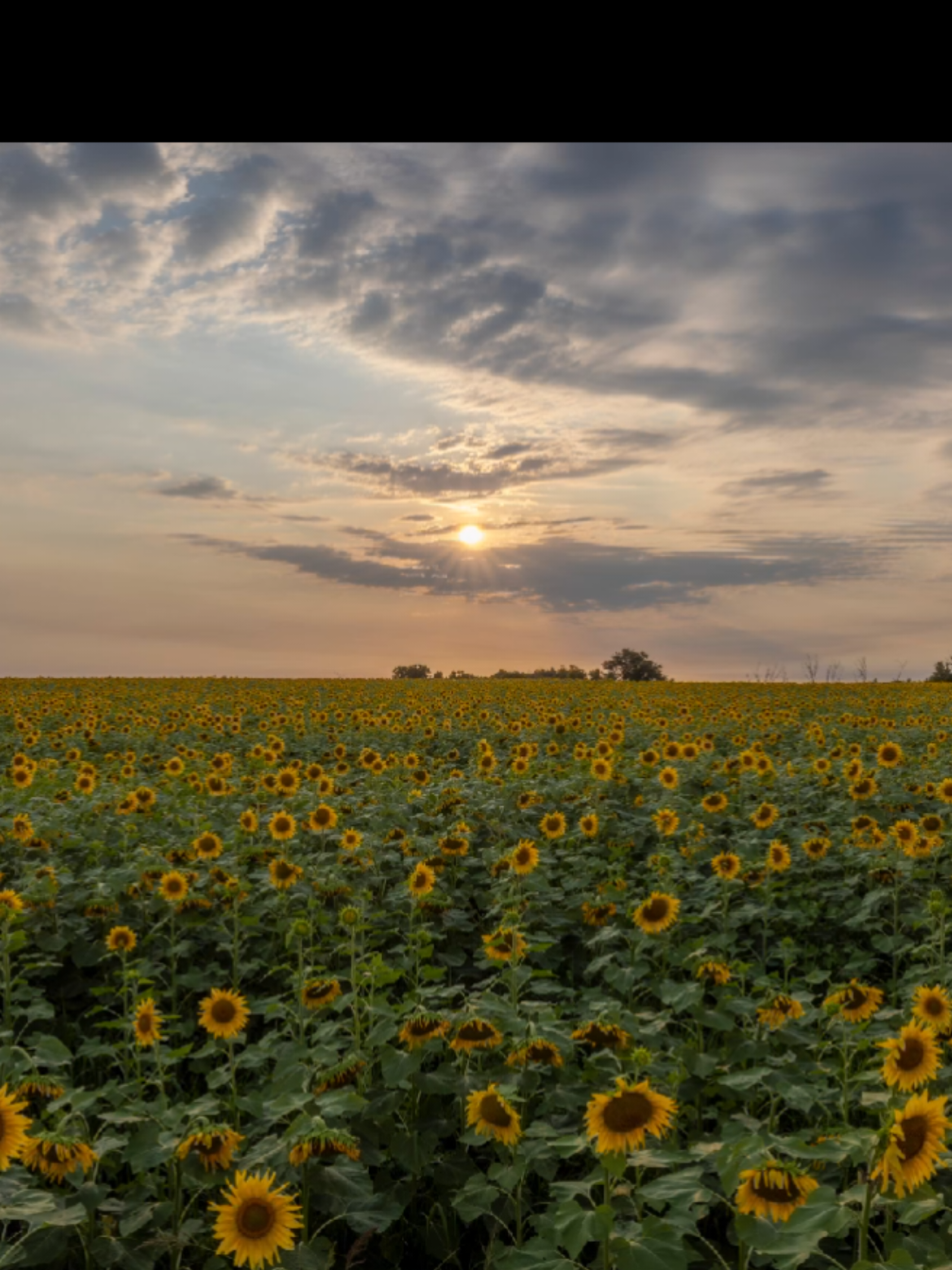 @Aaron Groen