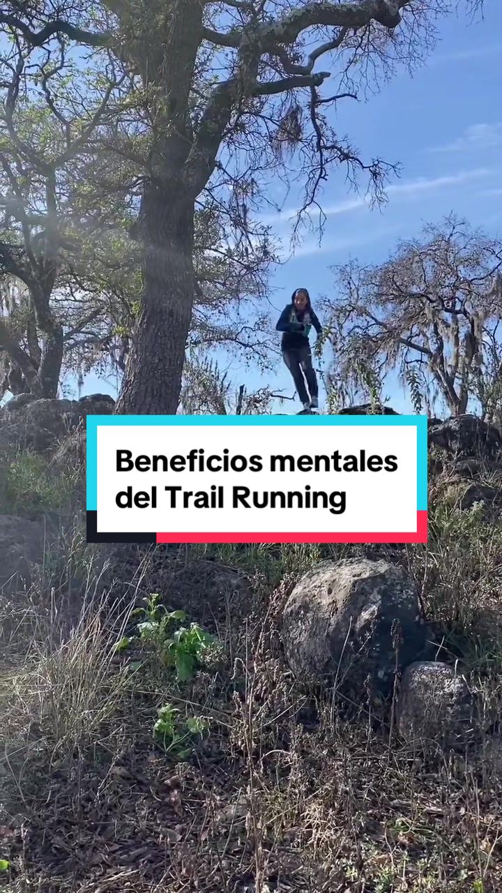 @Rompe el Muro