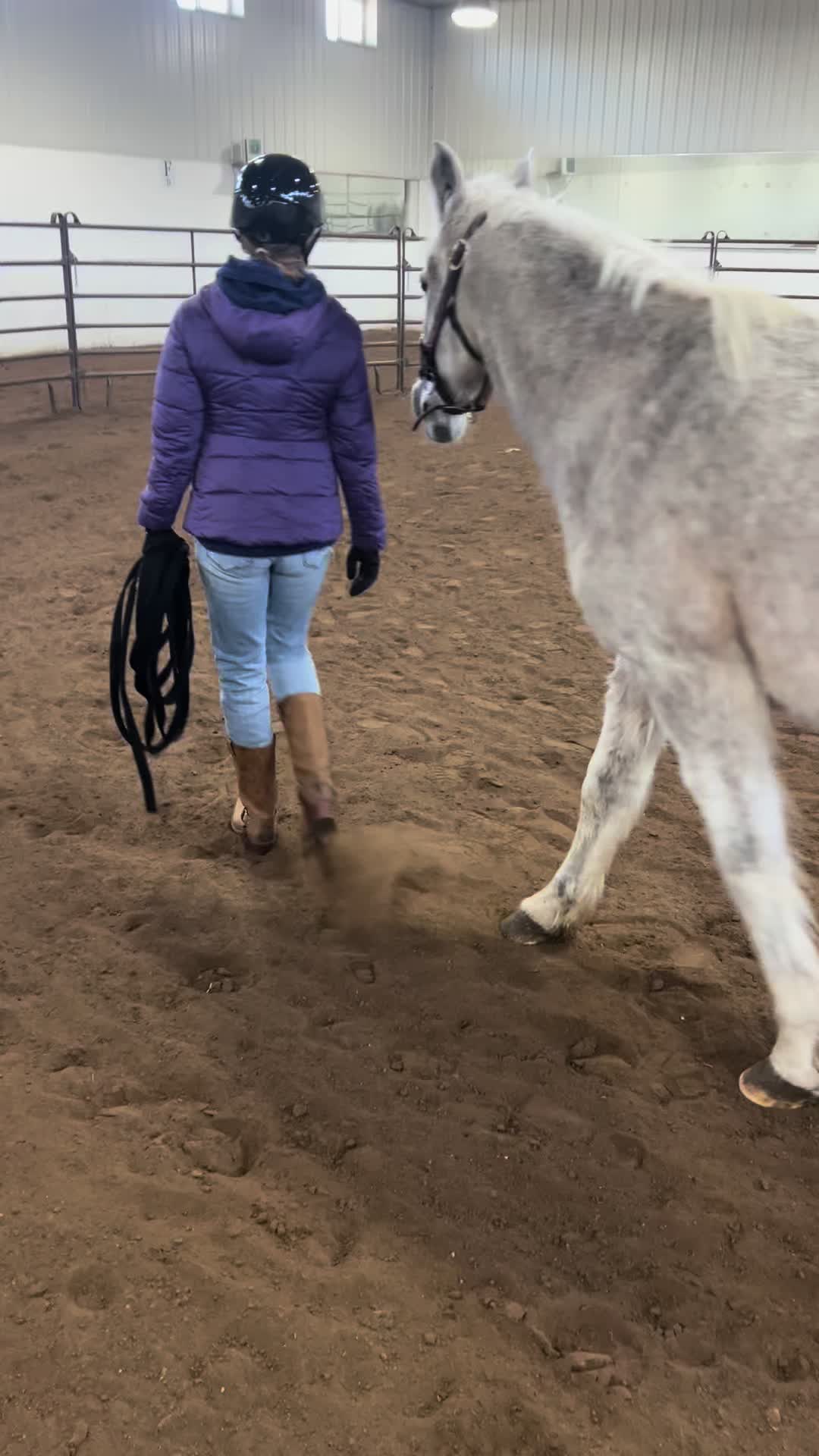 @Spirithorsecentermn