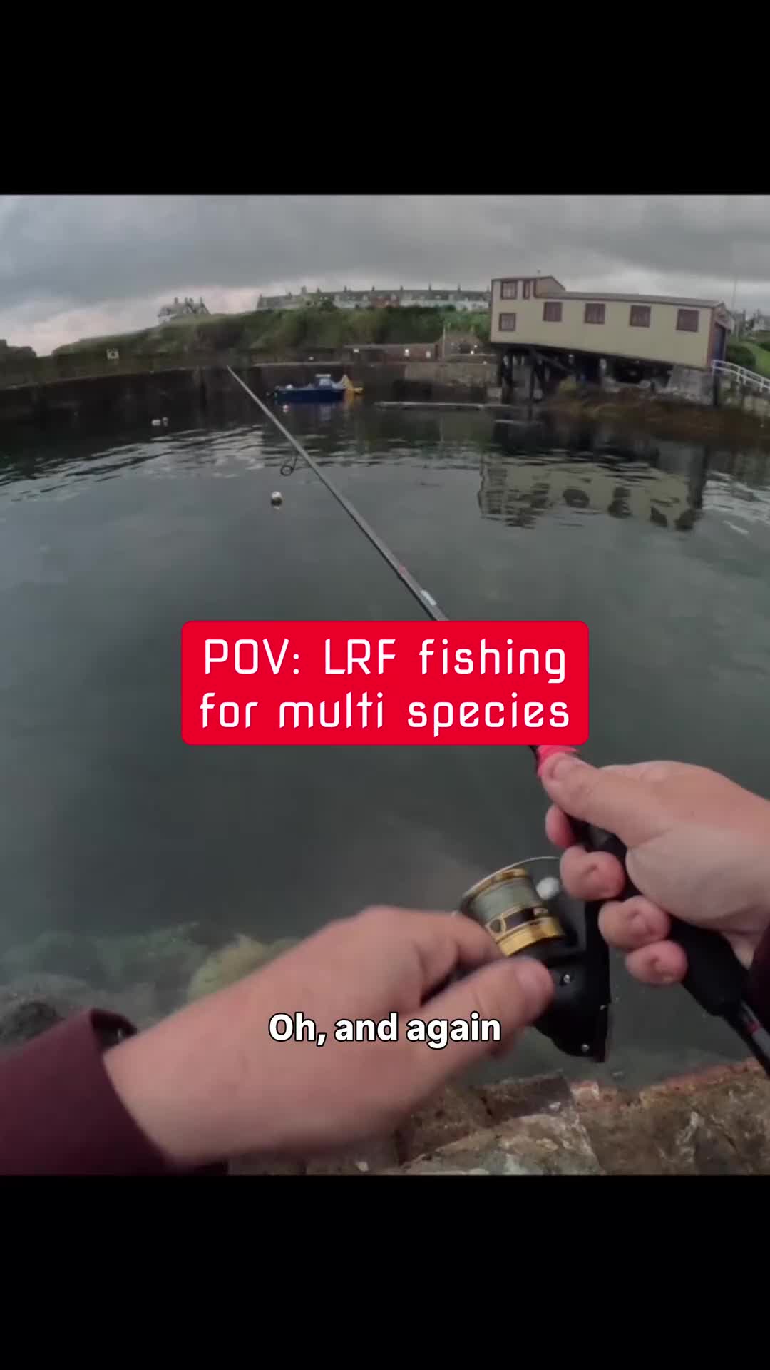 @fishingshaun