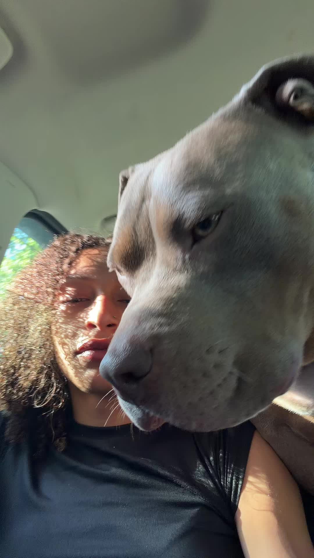 @carleeebaee